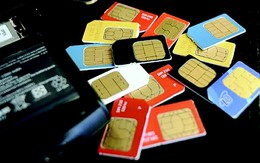 Dùng 30 sim nhắn tin vu khống, bị phạt 12 tháng tù