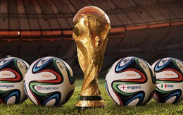 World Cup, tuyển sinh lớp 10... được tìm nhiều nhất