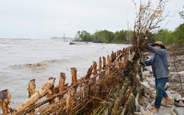 Tả tơi đất mũi