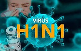 Cúm A/H1N1 diễn biến phức tạp