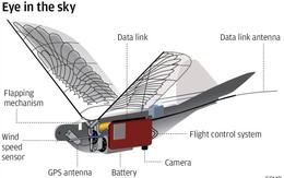 Trung Quốc giám sát người dân bằng drone robot hình chim