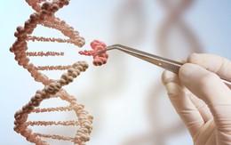 Vi phạm dữ liệu DNA còn nguy hiểm hơn so với rò rỉ thẻ tín dụng