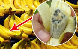 Không thể viện lý do 'thấy ngon quá nên ăn thử' trong siêu thị