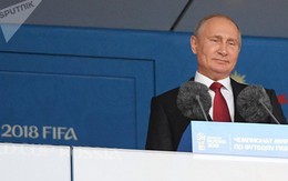 Tổng thống Putin gửi thông điệp 'biết ơn' trước khi World Cup khép lại