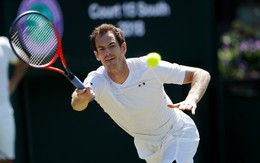 Andy Murray không tham dự Wimbledon 2018