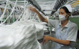 Sợi của Việt Nam bị Thổ Nhĩ Kỳ áp thuế chống lẩn tránh thuế