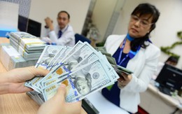 Giá USD tăng, doanh nghiệp 'lên ruột', Ngân hàng Nhà nước: 'Không căng'