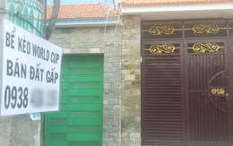Nhà đầu tư Hà Nội đổ tiền vào đâu?