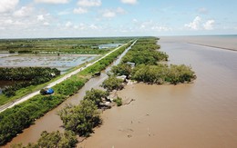 Giữ đất ven biển: Những giải pháp từ thực tế