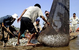 Nóng hôi hổi trên dòng Mekong