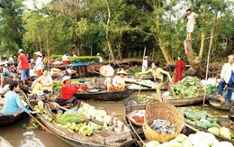 Đi về 'kho báu' chín rồng