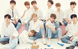 Fan Wanna One bị bắt vì bán đồ lưu niệm trái phép