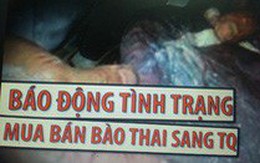 Dụ dỗ phụ nữ sang Trung Quốc sinh và bán con giá 80-140 triệu đồng