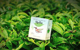 Giảm cân sau sinh cùng trà thảo mộc Vy Tea