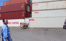 Họp khẩn các tỉnh giải quyết vụ 'hàng ngàn container ứ đọng vì thông tư'