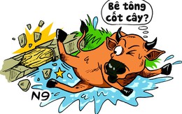 Những con số trời ơi - sự kiện hi hữu - câu nói ấn tượng