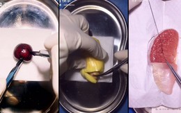 Đốn tim cư dân mạng với các video phẫu thuật trái cây