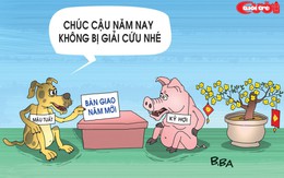 Mậu Tuất - Kỷ Hợi bàn giao