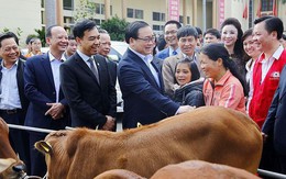 Thủ đô đã có 4 quận hết hộ nghèo