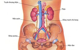 Bệnh viêm đường tiết niệu ở nữ và cách phòng tránh