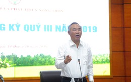 'Không thể nóng vội' xuất khẩu chính ngạch sang Trung Quốc