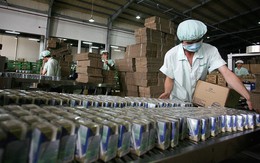 Sữa Việt bước vào thị trường Trung Quốc