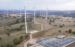 Thành phố Sydney cam kết sử dụng 100% nguồn năng lượng tái tạo