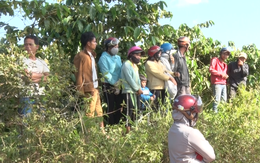 Video: Hỗn chiến trong vườn cà phê, 3 cha con bị chém thương vong