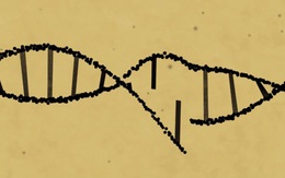 Công nghệ mới có thể sửa 89% lỗi gen