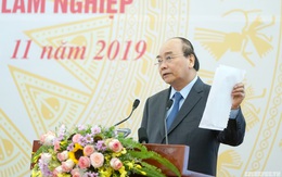 Thủ tướng: Phải sắp xếp xong các công ty nông lâm nghiệp trong năm 2020