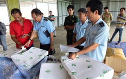 Thêm lô hàng nhập từ Trung Quốc ghi nhãn 'Made in Vietnam'