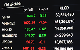 VN-Index đỏ sàn, mặc tình hình thương chiến Mỹ - Trung xanh hơn