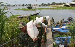 Bắt giữ 35 bao đường cát lậu mang nhãn mác... trong nước