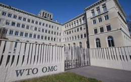 WTO cảnh báo xu hướng lực lượng lao động giảm mạnh tại nhiều nước