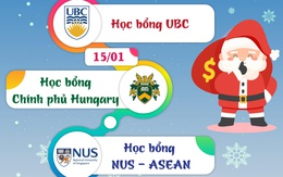 Tại sao không 'bắt cá nhiều tay' với ba chương trình học bổng toàn phần