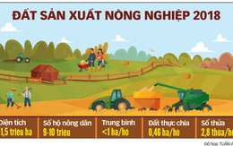 Tích tụ đất đai để nông nghiệp bứt phá