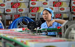 Cục Thuế TP báo cáo tiếp Tổng cục Thuế vụ truy thu thuế Sabeco, Unilever