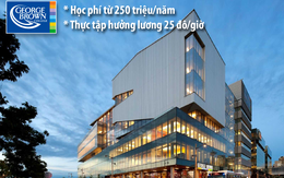 Du học, thực tập hưởng lương ở Toronto - Canada