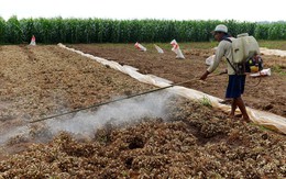 Thuốc diệt cỏ gây ung thư: 'Càng để lâu, càng có tội với dân'