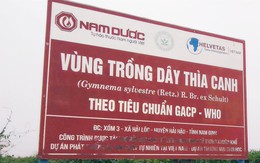 Chuyên gia chỉ ra tiêu chí chọn sản phẩm hỗ trợ tiểu đường