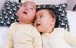 Người tìm cơ hội sống cho thiên thần