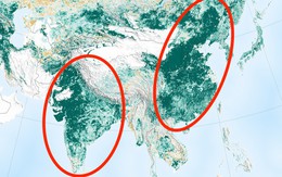 Trái đất xanh hơn 20 năm trước nhờ Trung Quốc, Ấn Độ