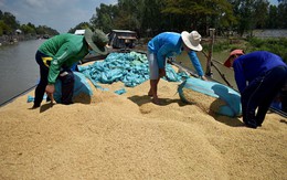 'Gờ giảm tốc' thay vì cứu giá lúa