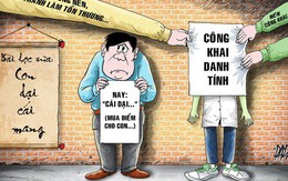 'Giờ tụi con muốn đậu phải không?'