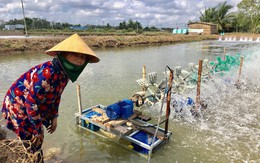 Ông Bảy Nhiệm và con lăn tiết kiệm điện