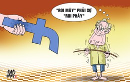 Nhớ cây roi mây...