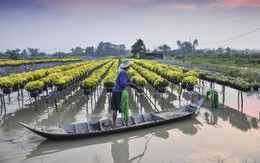 Ngày 7-4, chung kết thi ảnh Mùa yêu thương