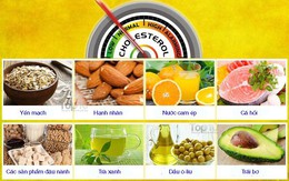 10 thực phẩm hàng đầu làm giảm cholesterol