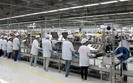 Chặn thói tùy tiện 'hành' doanh nghiệp