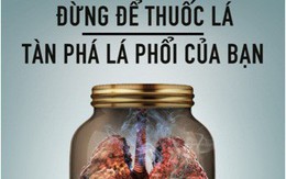 Ngừng thuốc lá, để cứu lá phổi